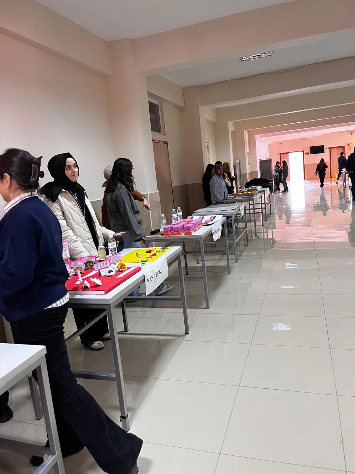 ÖĞRENME VE ÖĞRETMENİN GÖRSEL YOLCULUĞU:HEMŞİRELİKTE HİSTOLOJİ DERSİ SERGİSİ-2